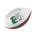 Full Size Synthetic Leather Signature Football